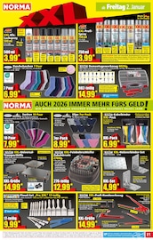 Aktueller Norma Prospekt mit Farbe, "Mehr fürs Geld", Seite 11