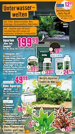 Pflanzen im Hornbach Prospekt in Gütersloh Aktueller Hornbach Prospekt mit Pflanzen, "Das beste Projekt ist immer das nächste.", Seite 16