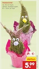 Aktuelles Heidewichtel Angebot bei Netto Marken-Discount in Rostock ab 5,99 €