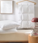 3-Kammer Kopfkissen Polarstern im Angebot bei Zurbrüggen in Oldenburg 3-Kammer Kopfkissen Polarstern Angebote von Billerbeck bei Zurbrüggen Oldenburg für 79,99 €