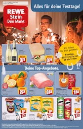 Aktueller REWE Prospekt, "Dein Markt", mit Angeboten der Woche, gültig von 23.12.2024 bis 23.12.2024