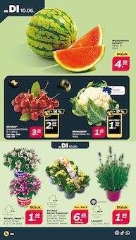 Lavendel im aktuellen Netto mit dem Scottie Prospekt (Berlin) Lavendel im Netto mit dem Scottie Prospekt "Günstig. Besser. Für Dich." mit 43 Seiten (Berlin)