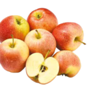 Netto mit dem Scottie - Apfel Gala Angebot im Prospekt Apfel Gala bei Netto mit dem Scottie im Prospekt "" für 1,99 €