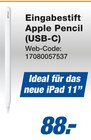 Eingabestift Apple Pencil (USB-C) Angebote von Apple bei expert Straubing für 88,00 €