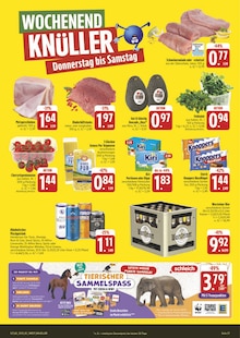 Warsteiner im EDEKA Prospekt "Wir lieben Lebensmittel!" mit 28 Seiten (Weiden (Oberpfalz))