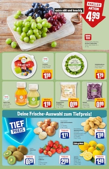 Ingwer im REWE Prospekt "Dein Markt" mit 30 Seiten (Frankfurt (Main))