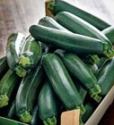 Promo Courgette à 1,99 € dans le catalogue Intermarché à Cabannes