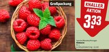 Himbeeren Angebote bei REWE Freital für 3,33 €