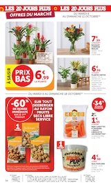 Plante Verte en promo dans le catalogue Super U à la page 34
