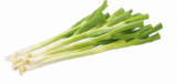 Aktuelle Gemüse Angebote bei Netto Marken-Discount in Oldenburg Aktuelles Lauchzwiebeln Angebot bei Netto Marken-Discount in Oldenburg ab 0,55 €