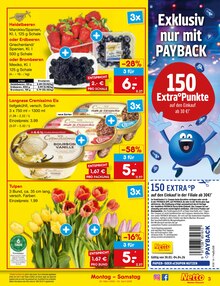 Tulpen im Netto Marken-Discount Prospekt "Aktuelle Angebote" mit 62 Seiten (Herne)
