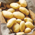 Pomme de terre de consommation nouvelle récolte ITM Terroirs - Intermarché à Saint-Denis Pomme de terre de consommation nouvelle récolte ITM Terroirs en promo chez Intermarché Saint-Denis à 2,19 €