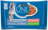 Effilés pour chat stérilisé saumon et dinde - ONE - Cora à Issy-les-Moulineaux Effilés pour chat stérilisé saumon et dinde - ONE en promo chez Cora Issy-les-Moulineaux à 3,67 €