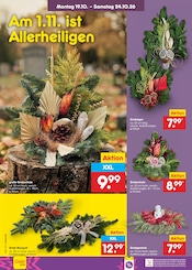 Grabpflege im Netto Marken-Discount Prospekt in Kiel Aktueller Netto Marken-Discount Prospekt mit Grabpflege, "Aktuelle Angebote", Seite 25