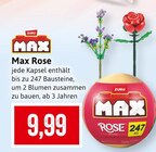 Max Rose im Angebot bei Kaufhaus Stolz in Neumünster Max Rose Angebote von Zuru bei Kaufhaus Stolz Neumünster für 9,99 €