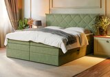 Boxspringbett inkl. Bettkasten  im aktuellen XXXLutz Möbelhäuser Prospekt für 1.499,00 €