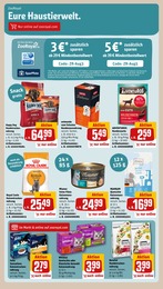 Hundefutter Angebot im aktuellen REWE Prospekt auf Seite 29