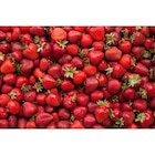 Fraise ronde CARREFOUR Le Marché - SANS en promo chez Carrefour Fraise ronde CARREFOUR Le Marché - SANS dans le catalogue Carrefour