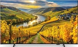 UHD-Fernseher Angebote von PHILIPS bei expert Osnabrück für 449,00 €