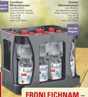 Mineralwasser Angebot im WEZ Stadthagen Prospekt WEZ Stadthagen Prospekt mit Mineralwasser im Angebot für 3,99 €