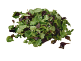 Aktuelles tegut... Bio-Salat Mix Angebot bei tegut in Nürnberg ab 1,49 €
