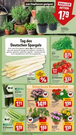 Ähnliche Angebote wie Narzissen im Prospekt "Dein Markt" auf Seite 7 von REWE in Darmstadt