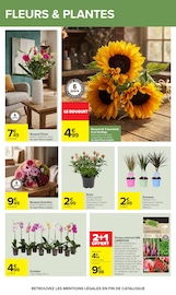 Prospectus Carrefour "Carrefour" en cours à Gagny, Page 62 Catalogue Carrefour en cours à Gagny, "Carrefour", Page 62