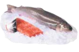 Saibling im V-Markt Prospekt Frische Saiblinge von Fischerei Köppelmühle GmbH im aktuellen V-Markt Prospekt für 1,79 €