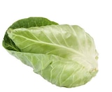 Spitzkohl im Angebot bei EDEKA in Osnabrück Spitzkohl Angebote bei EDEKA Osnabrück für 1,11 €