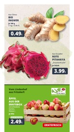 Eis im REWE Prospekt in Bergheim Aktueller REWE Prospekt mit Eis, "Dein Markt", Seite 2