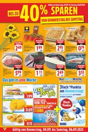 Blumen im E center Prospekt in Falkensee Aktueller E center Prospekt mit Blumen, "Aktuelle Angebote", Seite 23