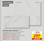Feinsteinzeug Fontana im Angebot bei toom Baumarkt in Mainz Feinsteinzeug Fontana Angebote bei toom Baumarkt Mainz für 31,67 €