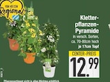 EDEKA Deggendorf Prospekt mit  im Angebot für 12,99 €