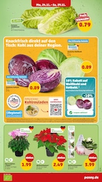 Pflanzen Angebot im aktuellen Penny Prospekt auf Seite 6