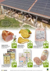 Aktueller E center Prospekt mit Schnitzel, "Aktuelle Angebote", Seite 3