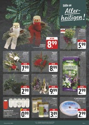 Ähnliche Angebote wie Blumenzwiebeln im Prospekt "Wir lieben Lebensmittel!" auf Seite 4 von EDEKA in Weiden
