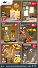 Drucker im Netto mit dem Scottie Prospekt in Wismar Aktueller Netto mit dem Scottie Prospekt mit Drucker, "Günstig. Besser. Für Dich.", Seite 16