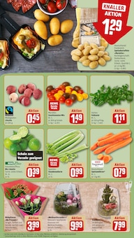 Blumen im REWE Prospekt "Dein Markt" mit 22 Seiten (Karlsruhe)