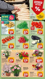 Balkonpflanzen im REWE Prospekt in Hanau Aktueller REWE Prospekt mit Balkonpflanzen, "Dein Markt", Seite 7