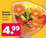 Bunter Strauß für 4,99 € bei Netto mit dem Scottie im Angebot Bunter Strauß im aktuellen Netto mit dem Scottie Prospekt