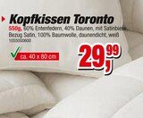 Kopfkissen Toronto Angebote bei Die Möbelfundgrube St. Ingbert für 29,99 €