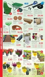 Aktueller Jawoll Prospekt mit Blumentopf, "Sonderposten-Märkte", Seite 8