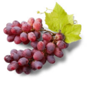 Südafrik. Tafeltrauben, rot Angebote bei Kaufland Stuttgart für 1,79 €