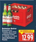 Budweiser Budvar im aktuellen E center Prospekt
