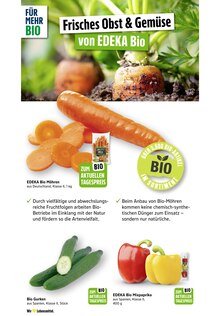 Paprika im aktuellen E center Prospekt (Offenbach (Main)) Paprika im E center Prospekt "Aktuelle Angebote" mit 84 Seiten (Offenbach (Main))