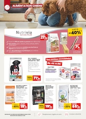 Jouets Angebote im Prospekt "À la rentrée, ça ronronne de bons plans !" von Animalis auf Seite 4