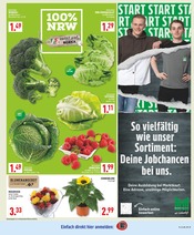 Blumen im Marktkauf Prospekt in Dorsten Aktueller Marktkauf Prospekt mit Blumen, "Aktuelle Angebote", Seite 7