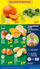 Kürbis im Lidl Prospekt in Hattingen Aktueller Lidl Prospekt mit Kürbis, "LIDL LOHNT SICH", Seite 11