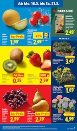 Lidl Blumenerde im Prospekt Lidl Blumenerde im Prospekt