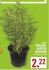Freiland-Kräuter Rosmarin Angebote bei Marktkauf Hagen für 2,22 €